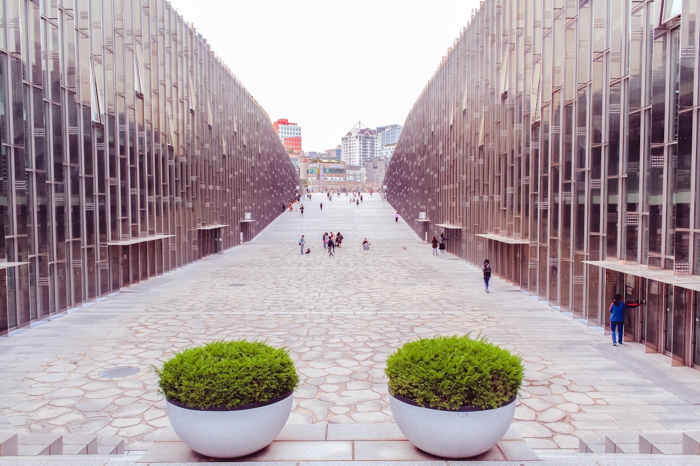 Modern Korean university campus walkway